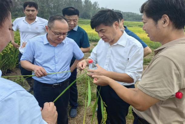 圖片2.png 圖片2.png